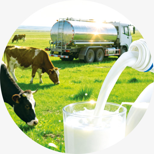 选用宁夏优质鲜牛乳